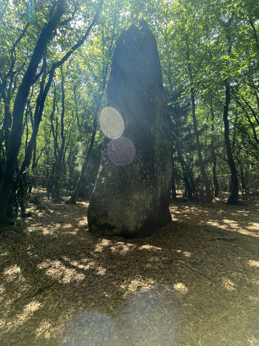 Shamanic Initiation Retreats