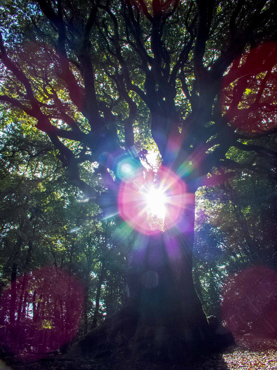 Solstice Sacred Initiation Tour in Brittany ~ on SALE!