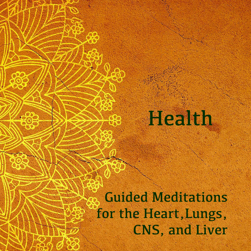 Physical Body Collection: Healing and Rejuvenation Guided Meditations ~ on SALE!