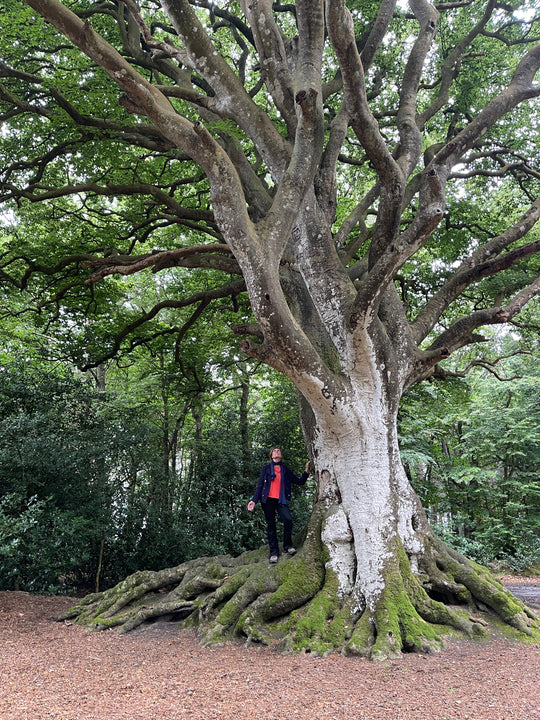 Equinox Sacred Initiation Tour