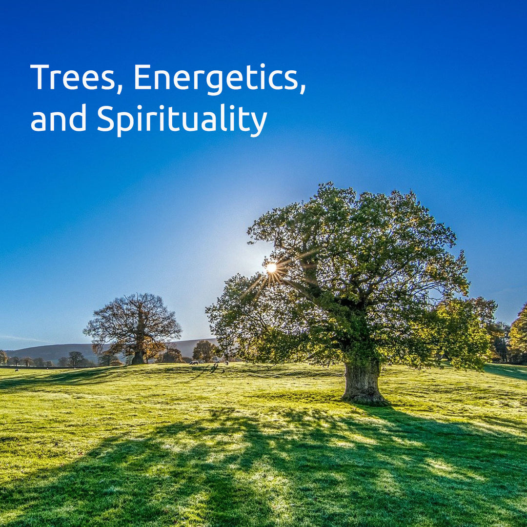 Trees, Energetics and Spirituality Online Class ~ on SALE!