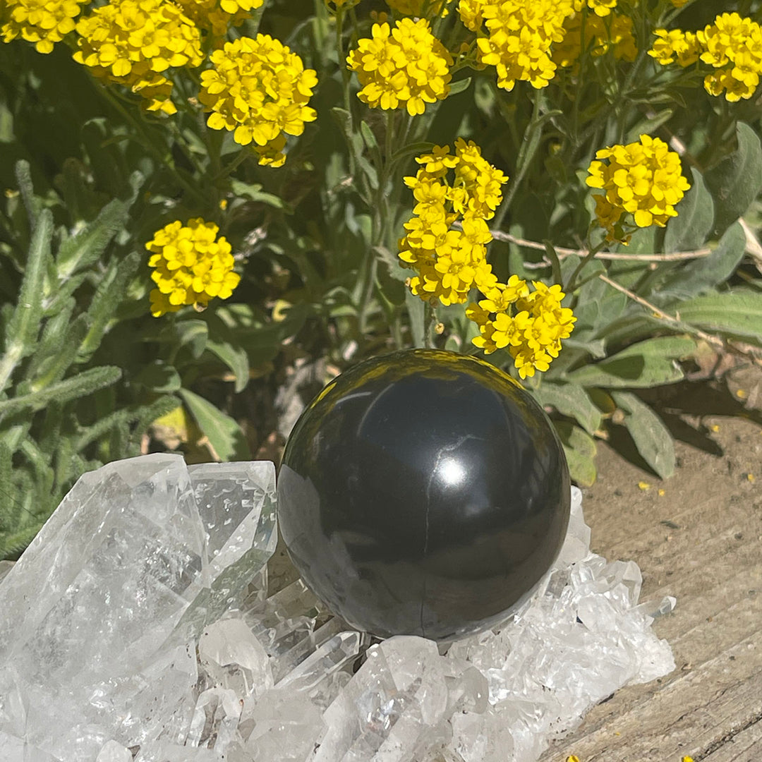 Shungite Spheres ~ on SALE!