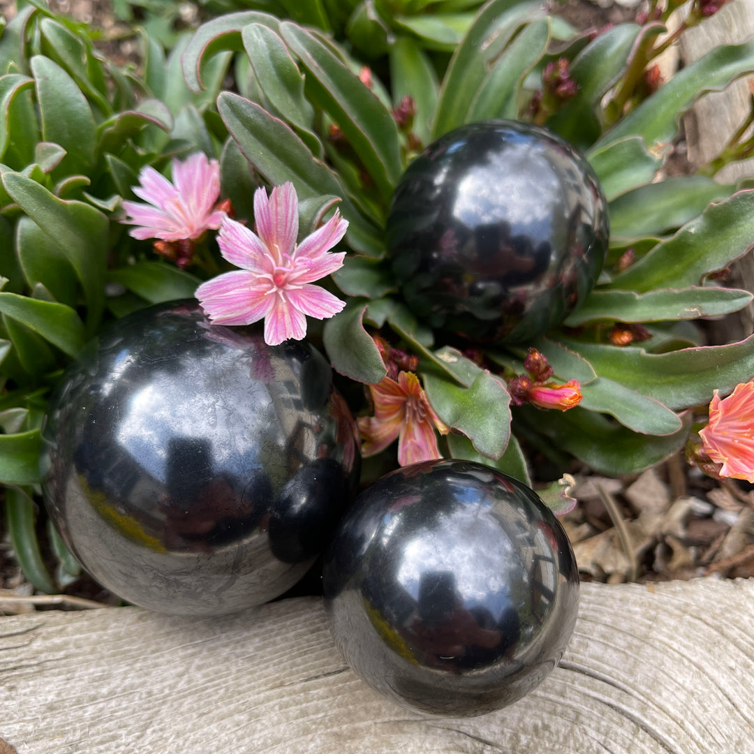 Shungite Spheres ~ on SALE!