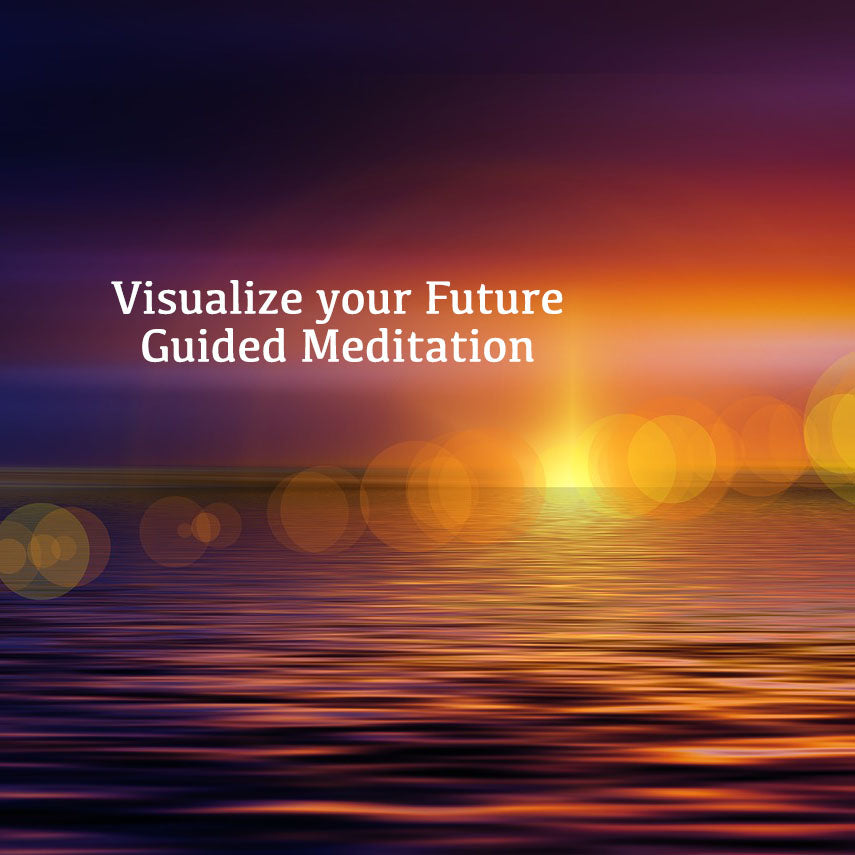 Visualize your Future Guided Meditation ~ on SALE!