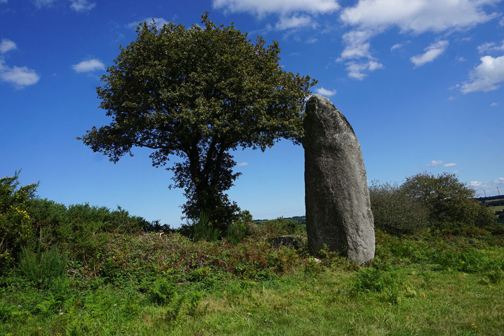 The menhir of Kergornec and  earth acupunture 