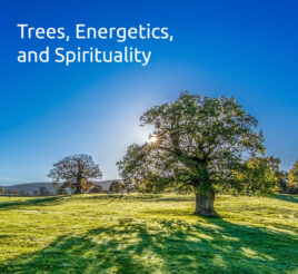 Trees, Energetics, and Spirituality