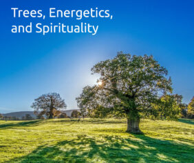 Trees, energetics, and spirituality